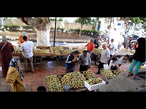 بالفيديو تجارة الهندية فاكهة الصبر في سوق الحاجب