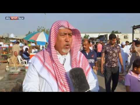 شاهد سوق الطيور مقصد أهل جدة كل جمعة