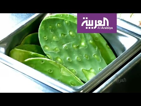 بالفيديو تعرف على أهم معالم المكسيك