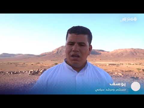 شاهد العثور على نقوش صخرية عمرها 7000 سنة نواحي زاكورة