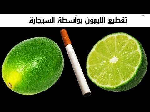 شاهد 7 رهانات ستنتصر فيها دائمًا بعد الآن