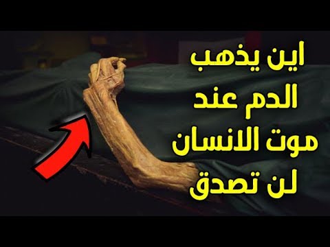 شاهد تعرف أين يذهب الدم عند موت الإنسان