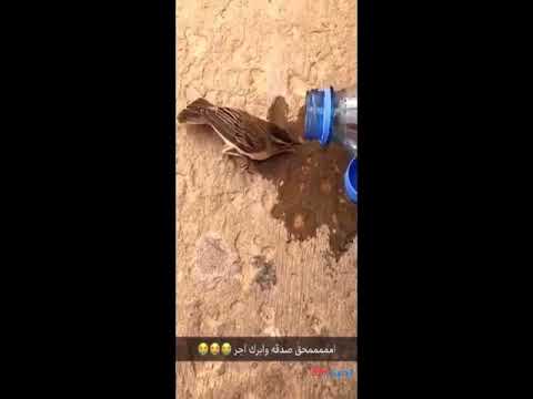 شعر بالصدمة ولم يستطع إنقاذه