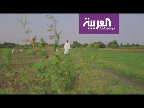 شاهد سفينة المساعدات السعودية  الإماراتية إلى السودان شكَّلت انفراجة على الموسم الزراعي