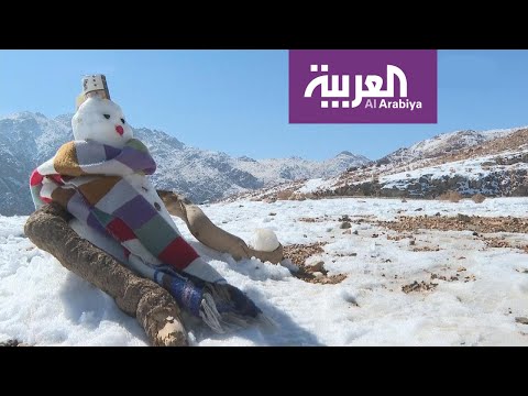 شاهد الصقيع على أبواب الخليج العربي