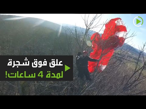 رجل علق فوق شجرة لمدة 4 ساعات