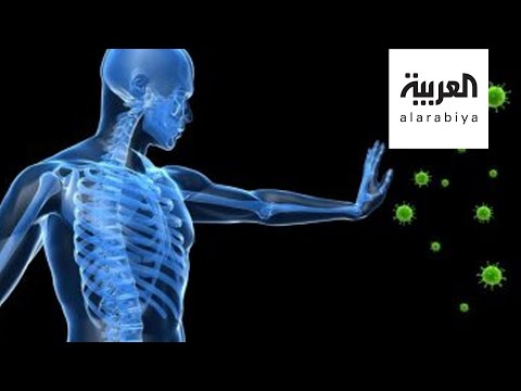 دراسة مٌخيّبة للآمال بشأن الأجسام المضادة لـفيروس كورونا