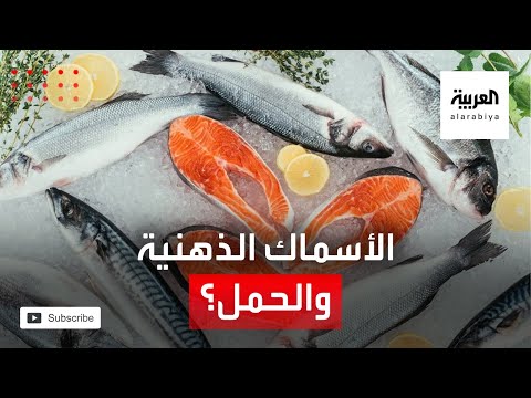 الأسماك الدهنية من الأطعمة التي على الحامل تجنبها