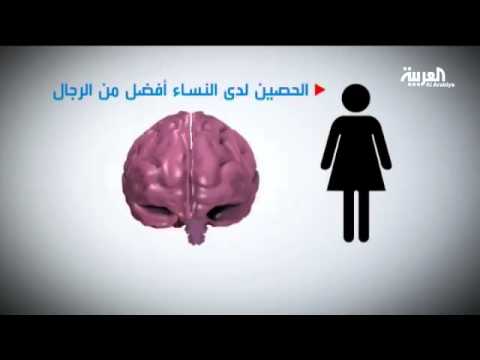 فيديو الفرق في القدرات العقلية بين الرجل والمرأة