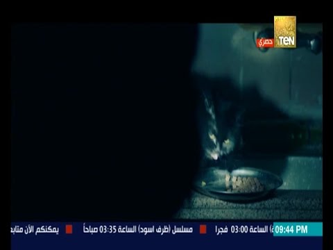 بالفيديو لحظة انقطاع النور على محمد العمروسي