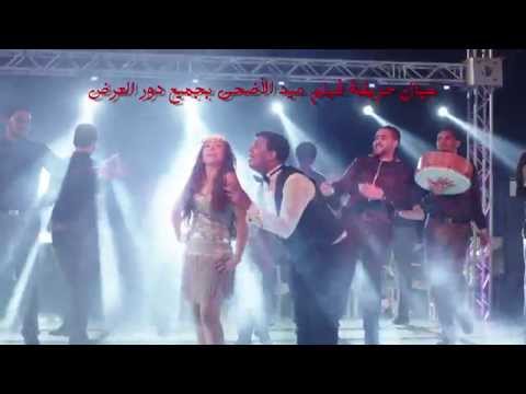 بالفيديو السبكي يطرح الفيديو الدعائي الثاني لفيلم عيال حريفة