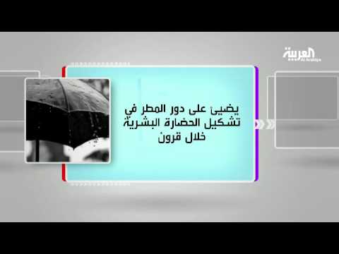 بالفيديو مطر التاريخ الطبيعي والثقافي